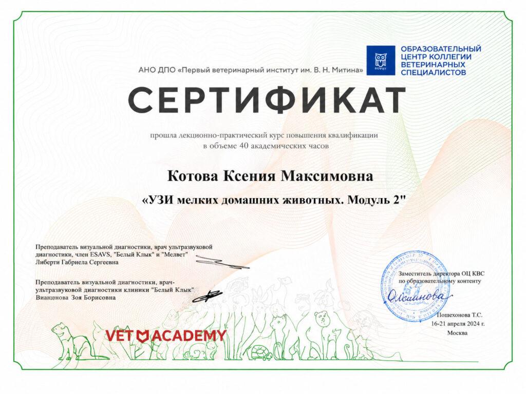 Сертификат-11