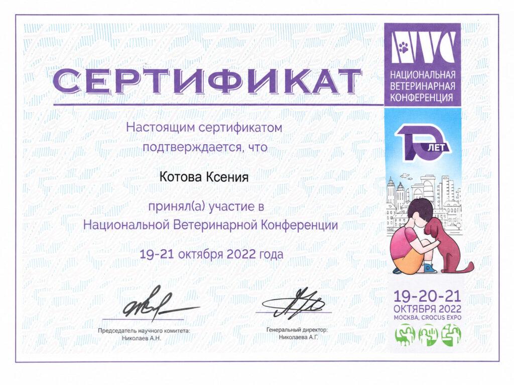 Сертификат-13