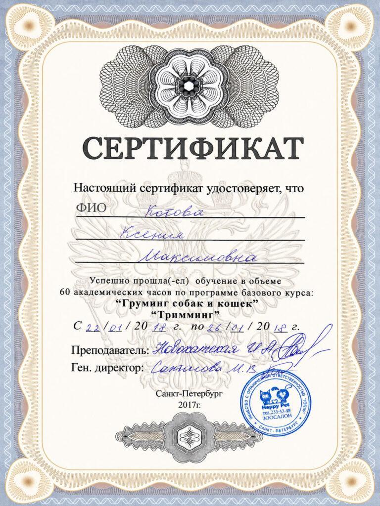 Сертификат-14